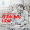 Paank condemns the killing of Ghamkhwar Hayat